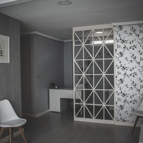 logo-con-fond-anesis (6)